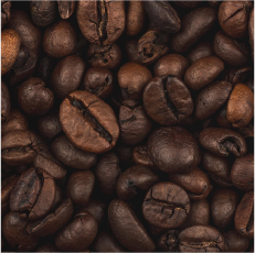 Cafeína Encapsulada en Liposomas