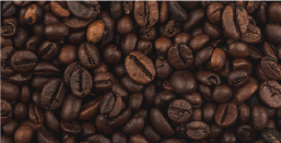 Cafeína