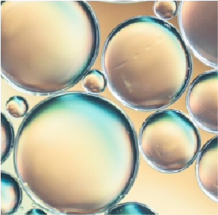 Capilmax®