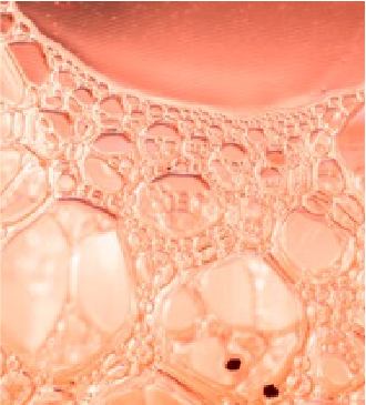 Peptizinc®