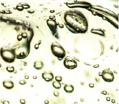 Tocoferol (Vitamina E)